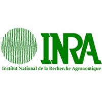 INRA