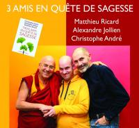 trois amis sagesse