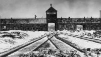 auschwitz