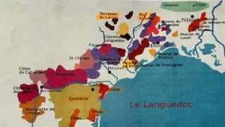 Varte du Vignoble du Languedoc