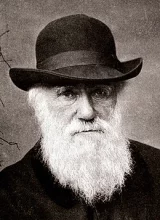 DARWIN, Charles