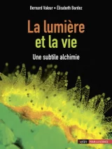 La lumière et la vie. Une subtile alchimie. 