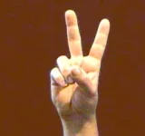 Le langage des signes