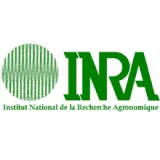 Le rôle de l'INRA