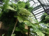 Histoire des plantes