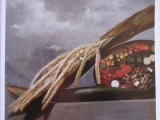 La rencontre de l'occident avec le Brésil