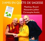 Trois amis en Quete de Sagesse