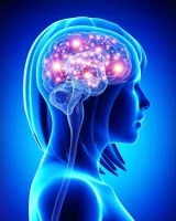 Notre cerveau fonctionne-t-il comme à l'âge de pierre ?
