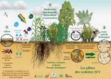 L'agro écologie:une solution pour l'Afrique ?