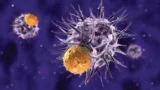 L'immunothérapie dans le traitement des cancers