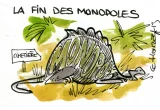 Faut-il lutter contre les monopoles ?