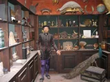 Cabinet de curiosités ou la chambre des merveilles aux XVIe, XVIIe et XVIIIe siècle.