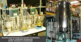 Une autre utilisation des plantes génétiquement modifiées : la production de molécules à usage thérapeutique.