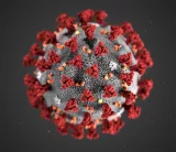 La COVID 19 - Point sur les connaissances scientifiques - ENREGISTRÉE EN VIDÉOCONFÉRENCE