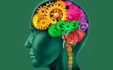 La mémoire humaine : une mémoire (toujours) en mode survie