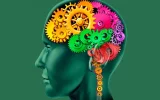 La mémoire humaine : une mémoire (toujours) en mode survie