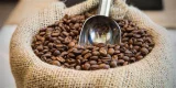 Café - sur la route du café, de l'Ethiopie au comptoir de zinc