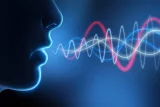 Les vibrations dans la vie quotidienne