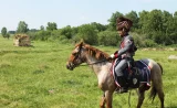 Comment le cheval a influencé l'histoire de l'humanité - OUVERTE A TOUS – 5 € NON ADHERENT