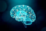 Avancées en neurologie . Physiologie des cellules du cerveau