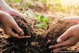 La biodiversité des sols au service d'une agriculture durable