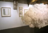 Nouvelles fibres et nouvelles pratiques