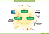 La biologie de synthèse