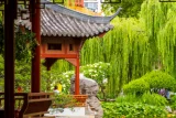Jardins, jardinage à l'ère des préoccupations environnementales : une comparaison France/Chine