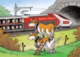 Pourquoi les vaches regardent-elles passer les trains ?