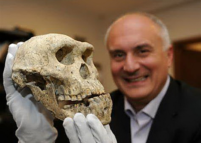 crane neanderthal