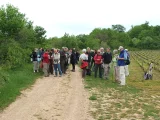 Marche du 22 février 2016
